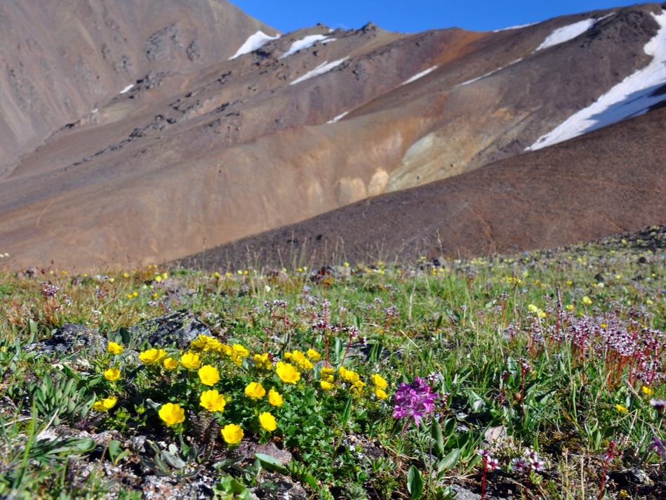 ФГБУ "Национальный парк "Сайлюгемский" - фото 2