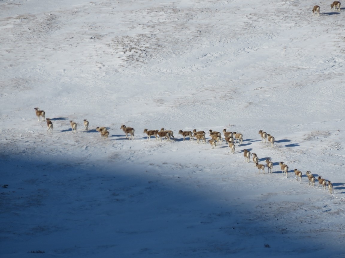ФГБУ "Национальный парк "Сайлюгемский" - фото 5