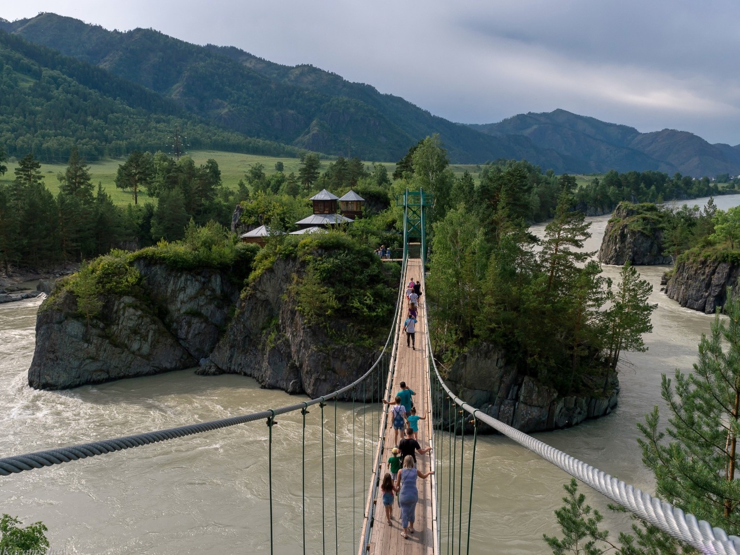 ООО "АЛТАЙ-ИНФО" - фото 1