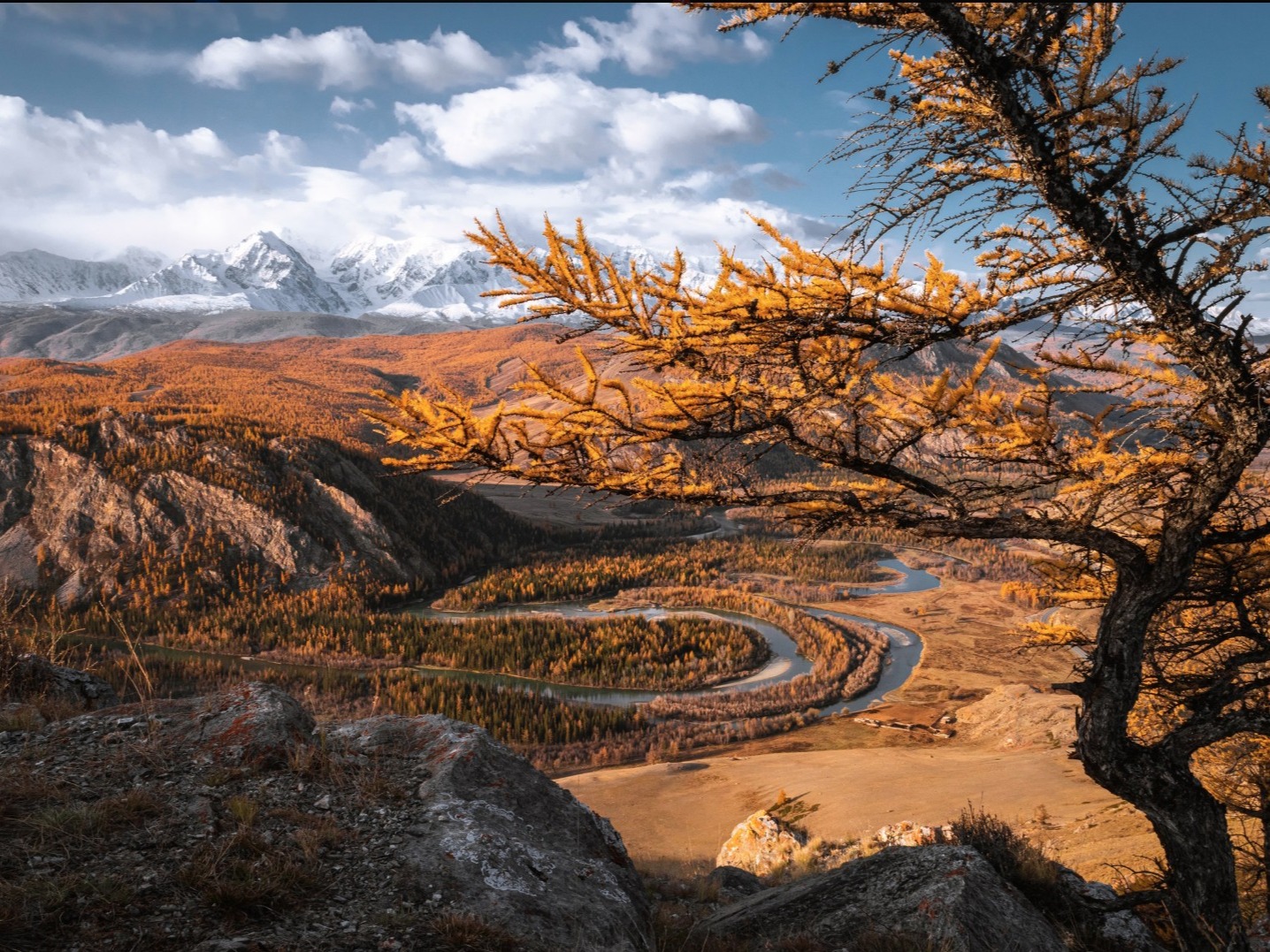 ООО "АЛТАЙ-ИНФО" - фото 2