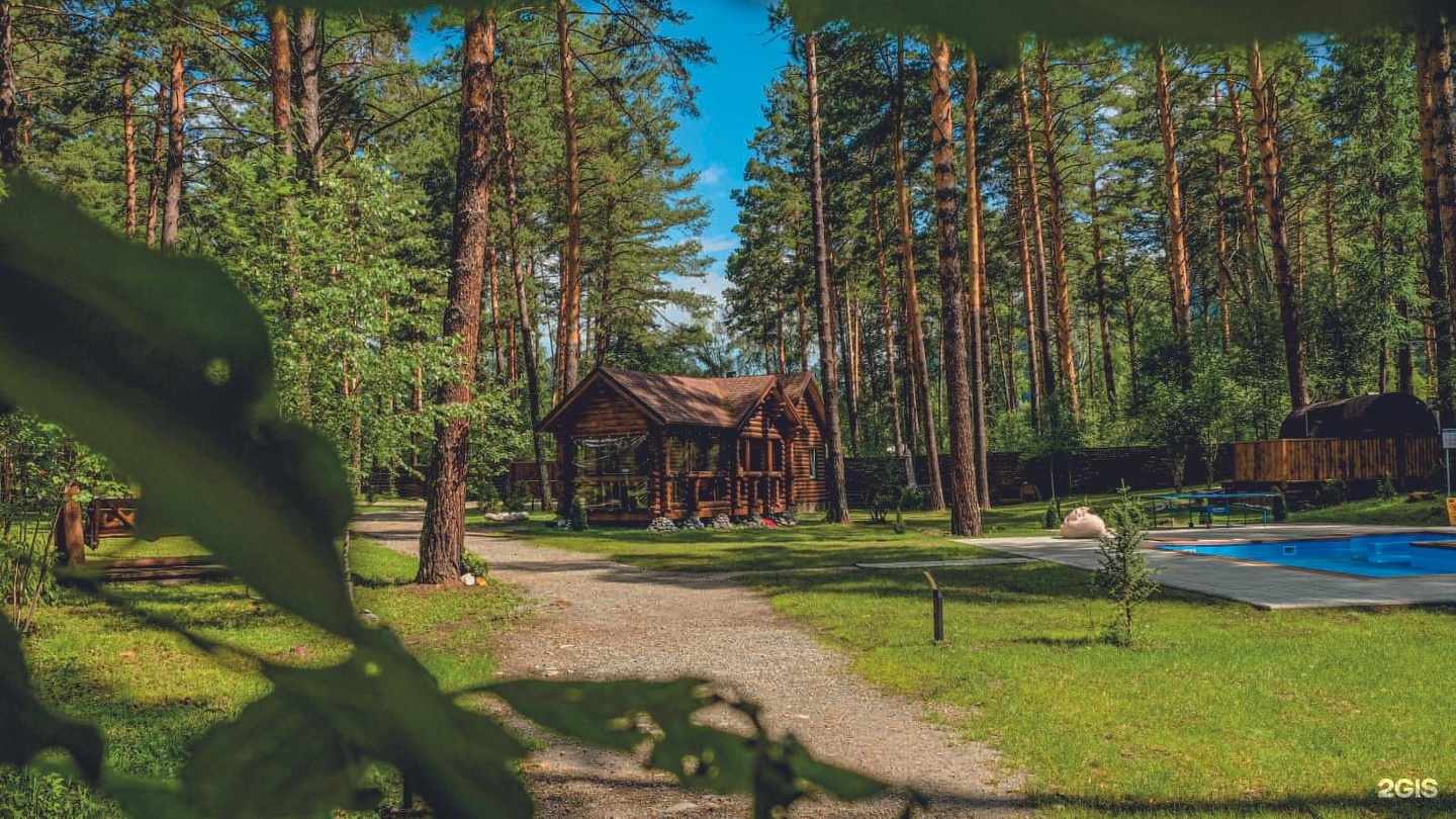 Лето - фото 4