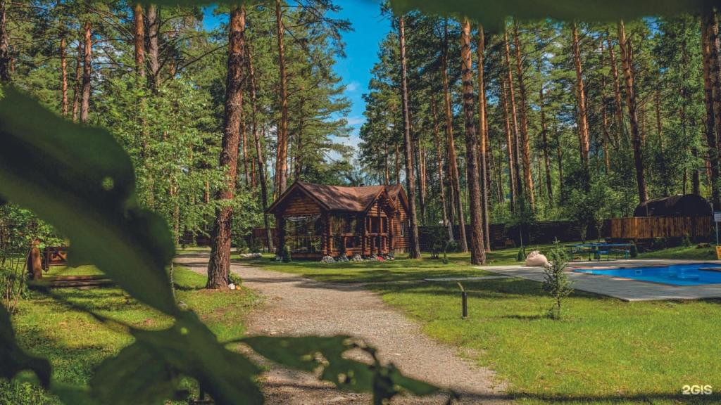 Лето - фото 4