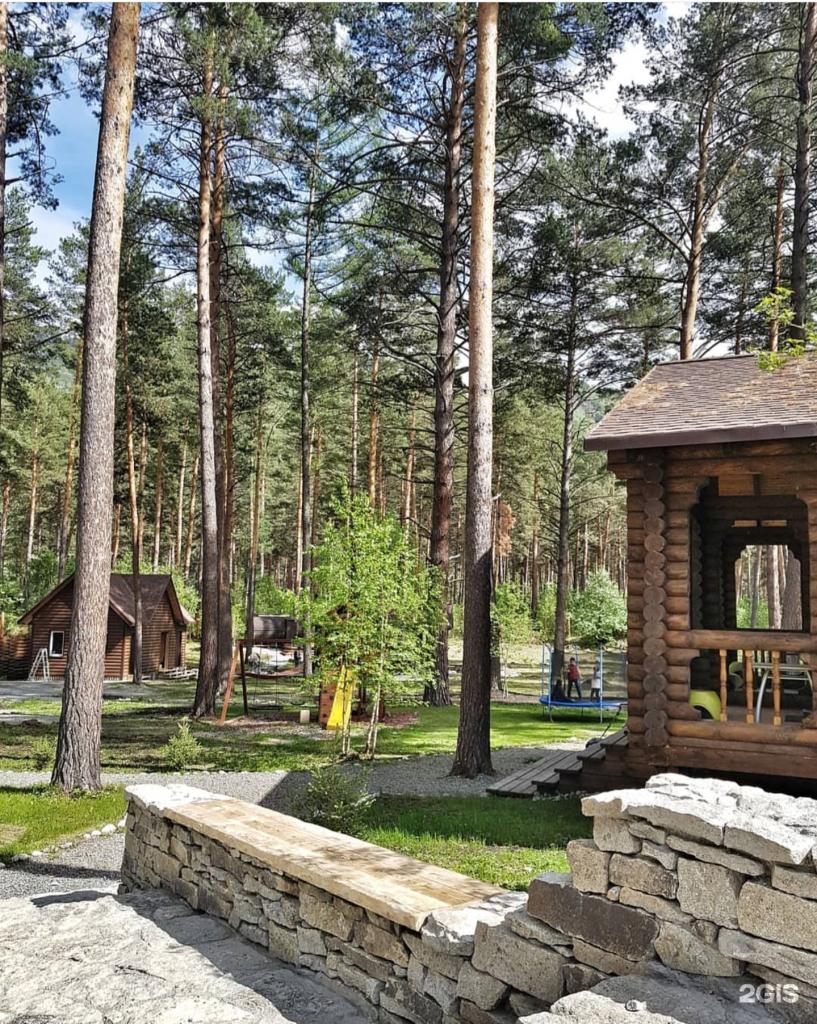 Лето - фото 6