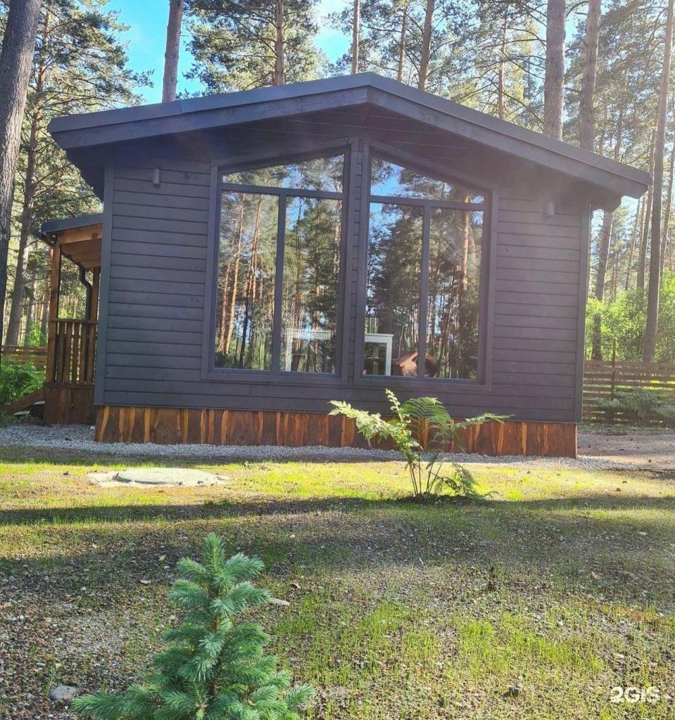 Лето - фото 10