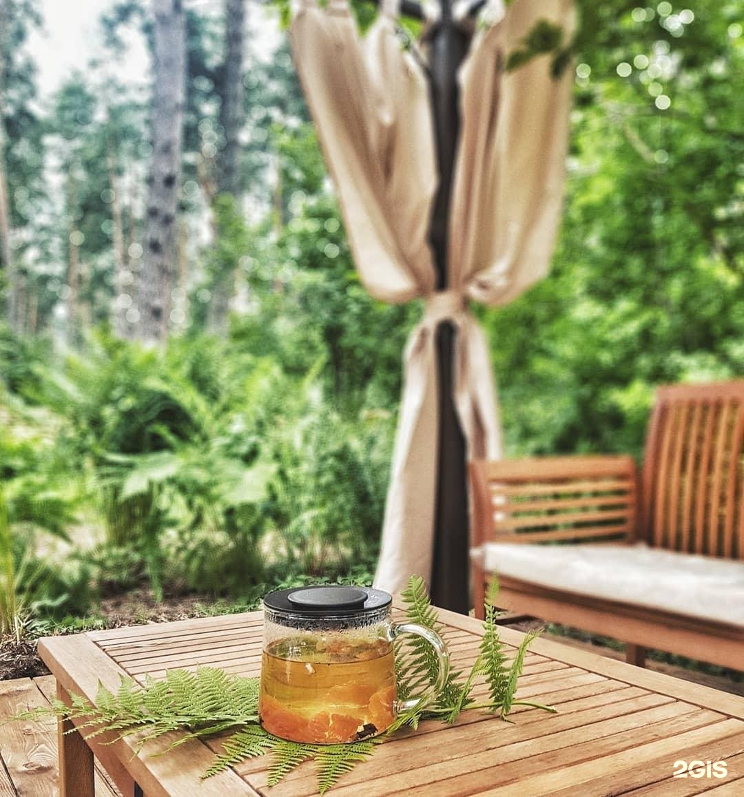 Лето - фото 12