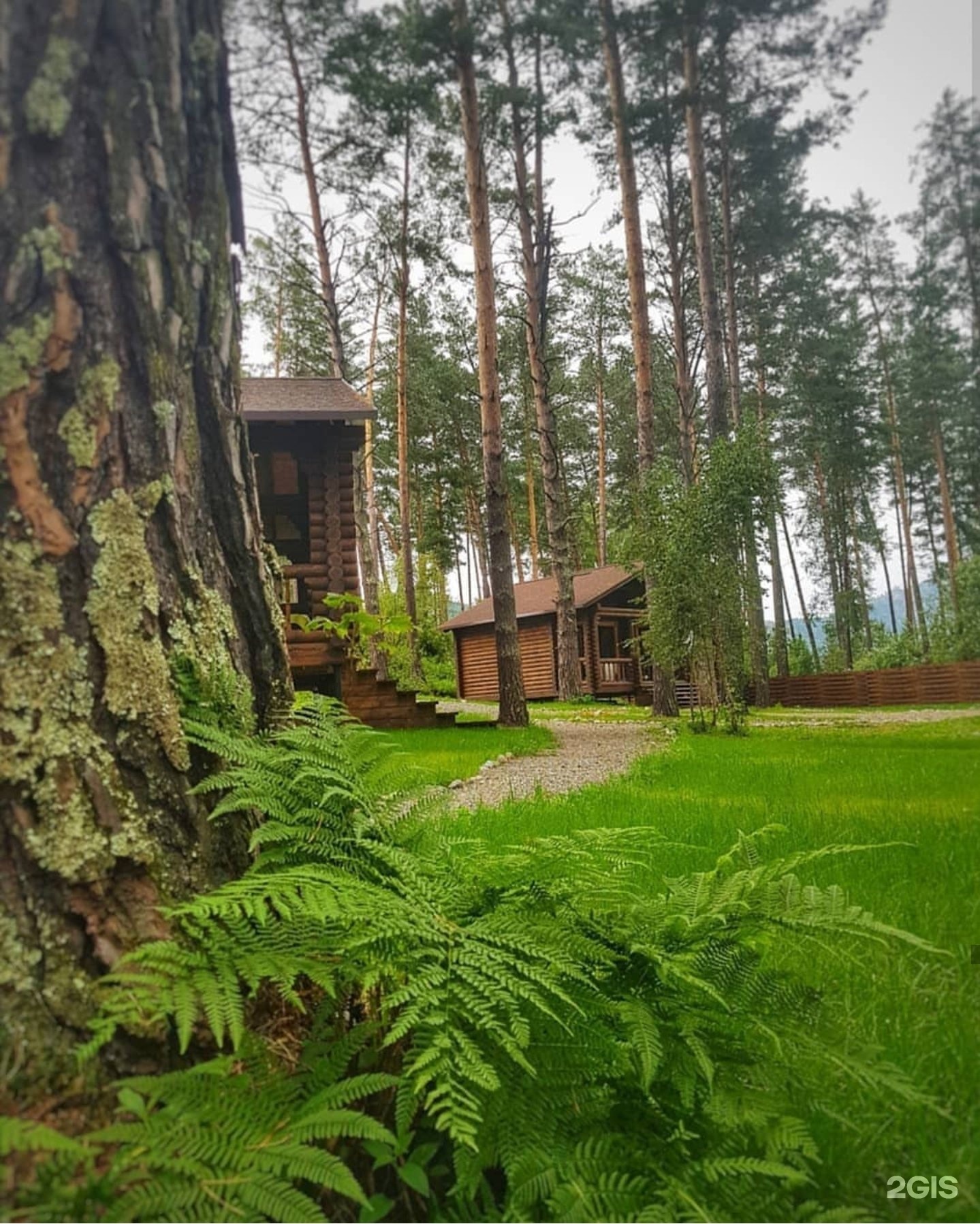 Лето - фото 13