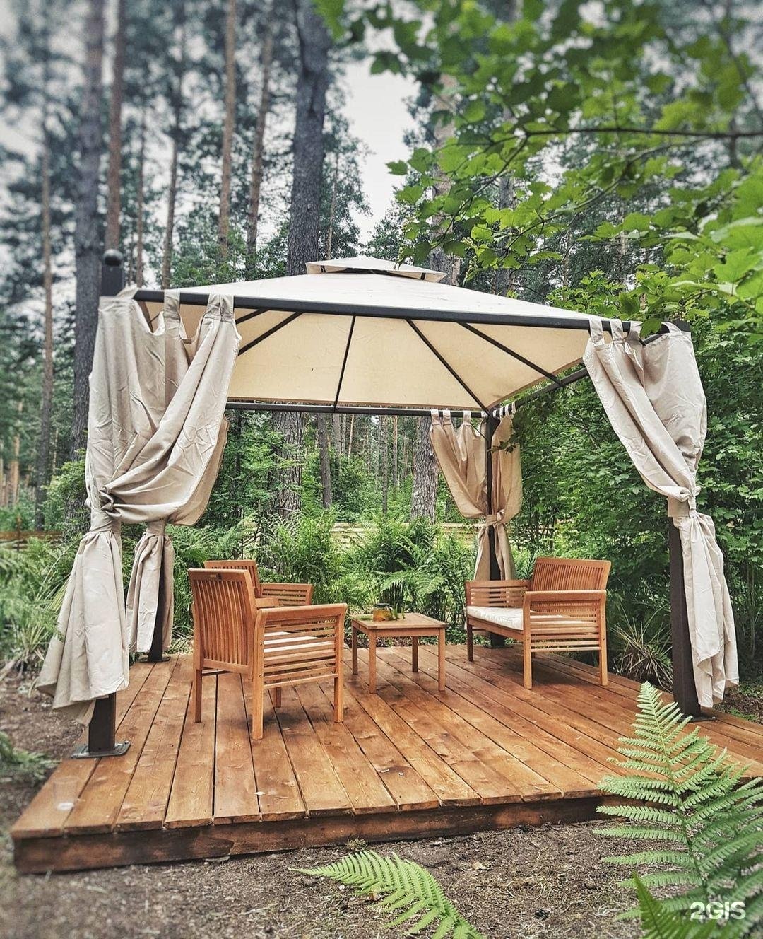 Лето - фото 21