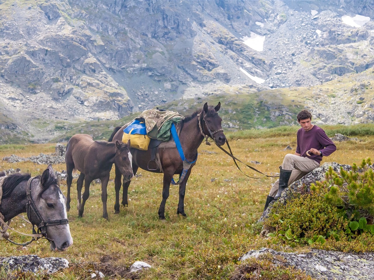 ООО "АРКАДИЯ" - фото 2