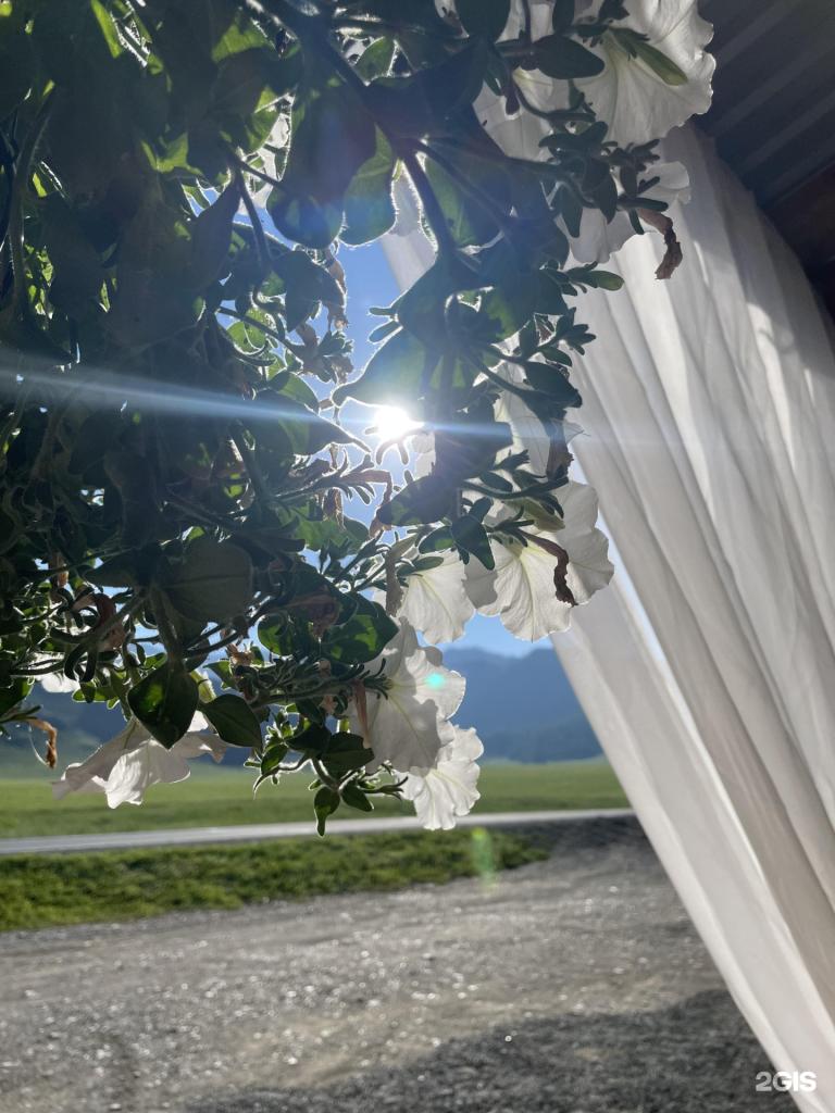 Вояж Туу - фото 3