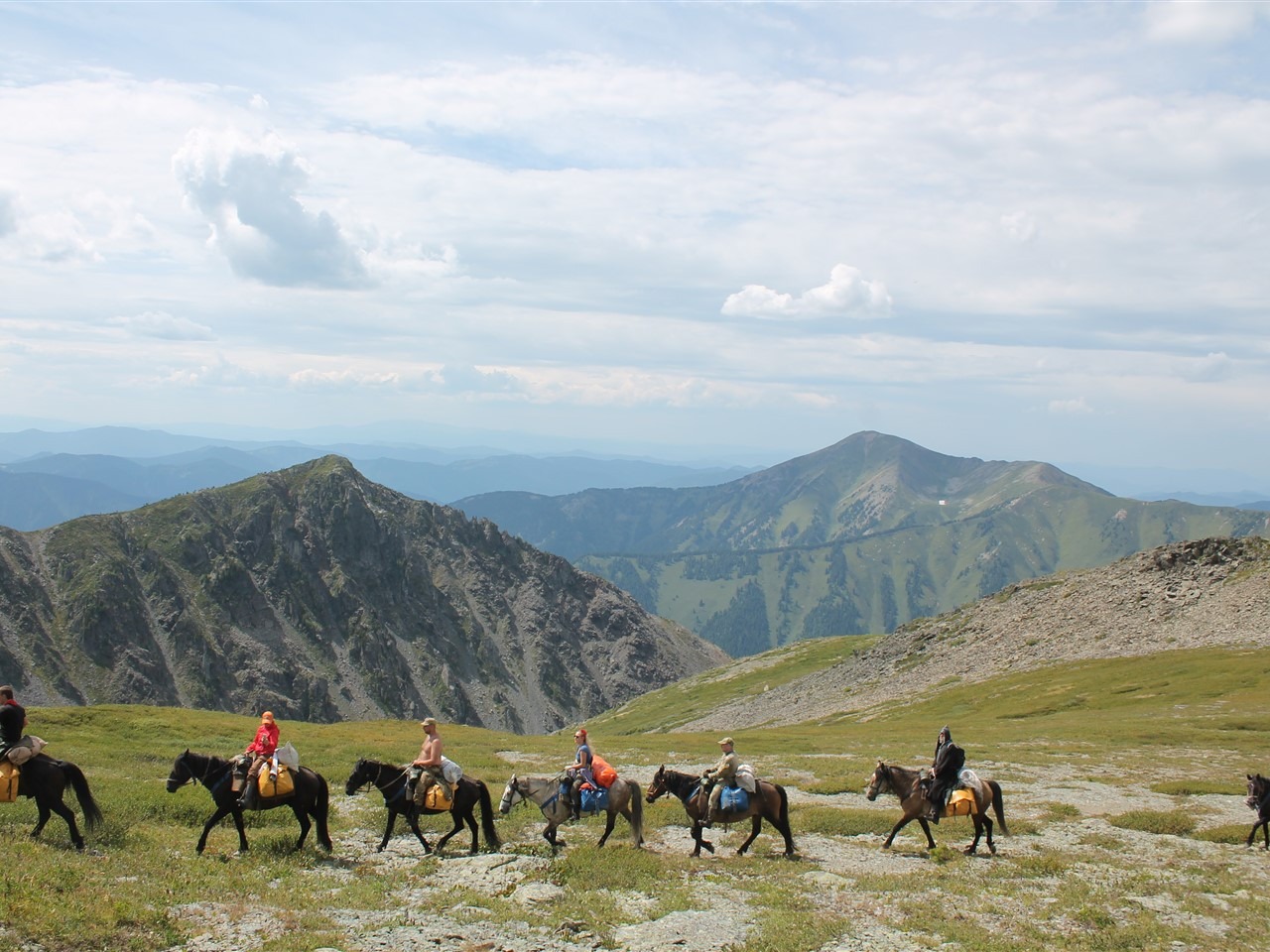 ООО "АРКАДИЯ" - фото 4