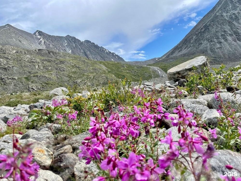 Сайлюгемский - фото 14