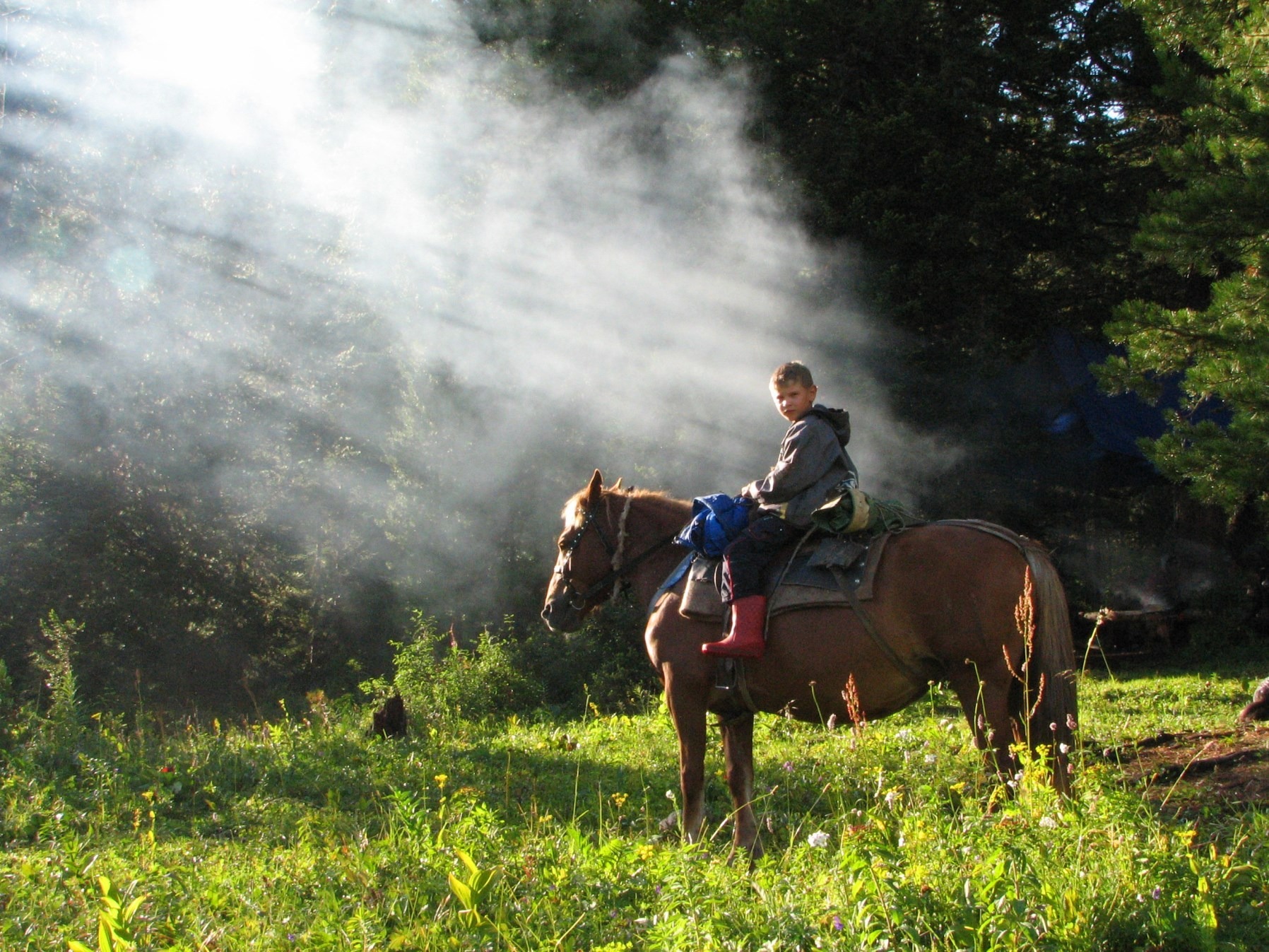 ООО "АРКАДИЯ" - фото 6