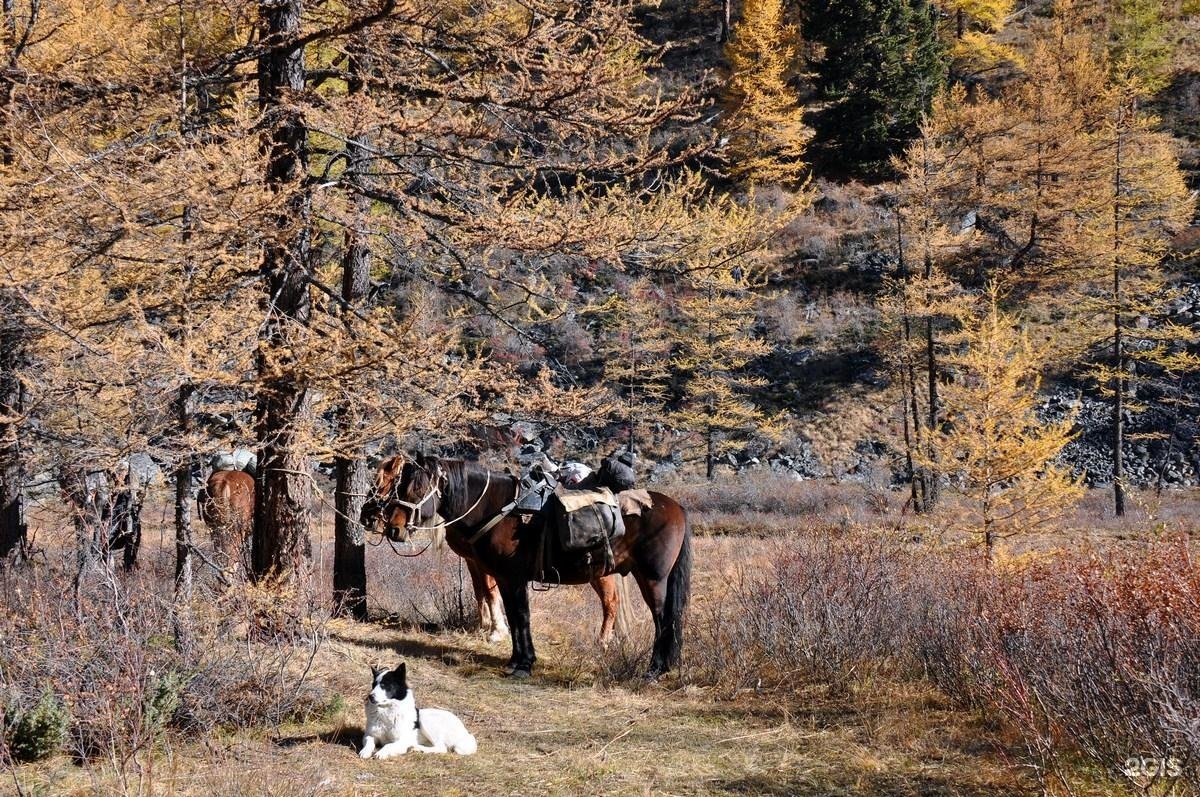 Сайлюгемский - фото 21
