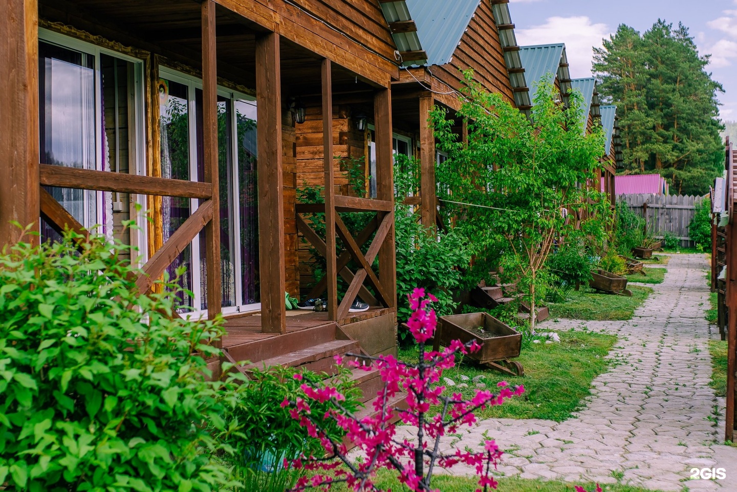 Солнечная поляна - фото 1