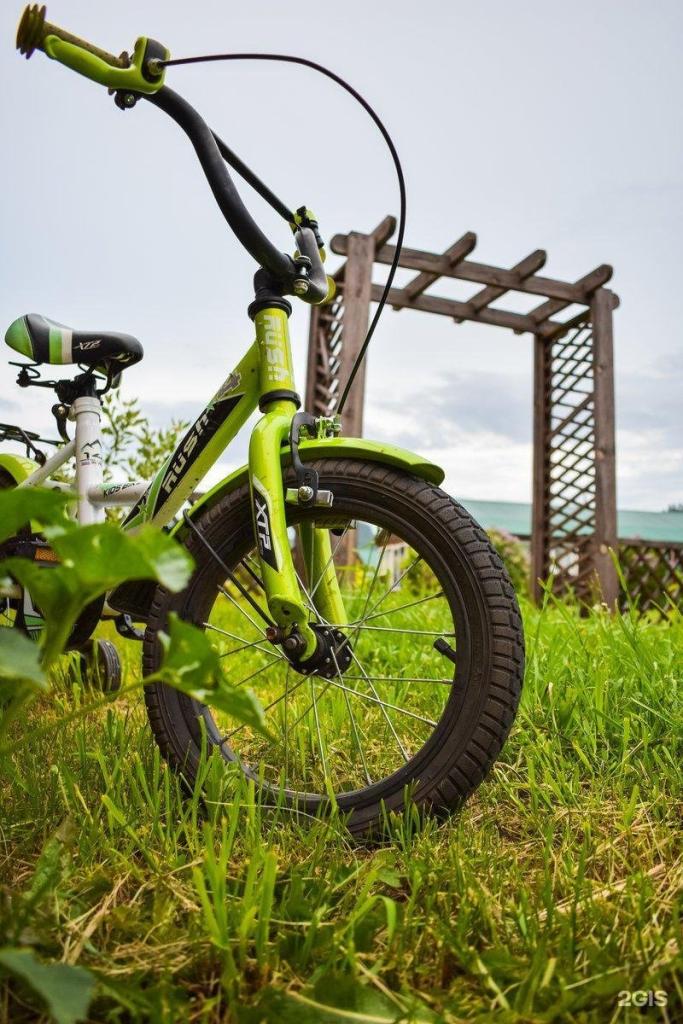 Солнечная поляна - фото 2