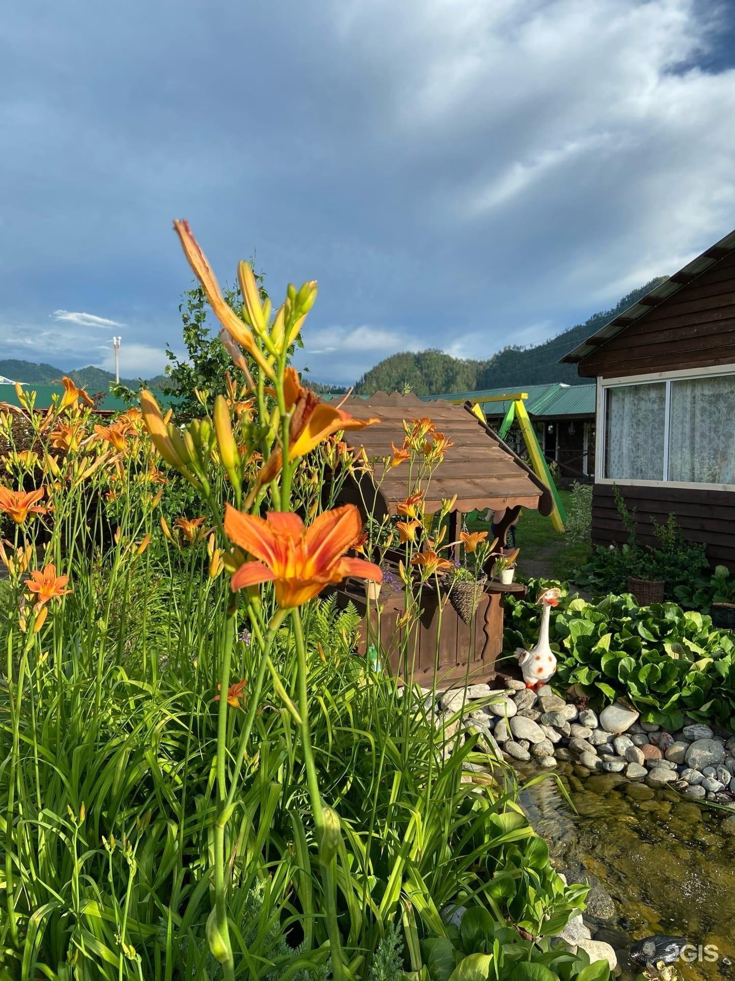 Солнечная поляна - фото 8