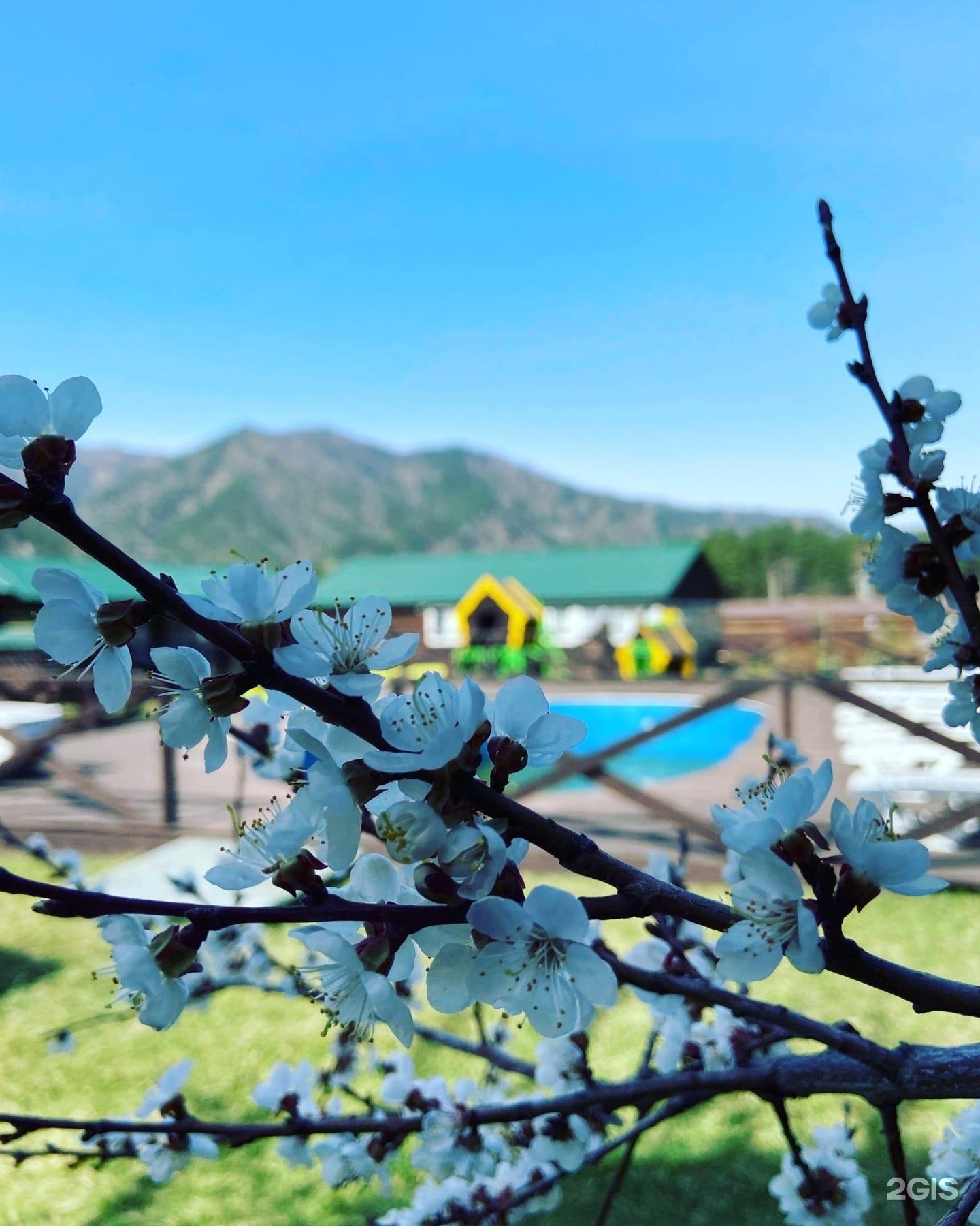 Солнечная поляна - фото 11