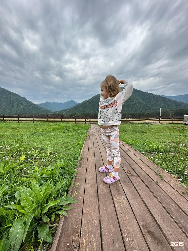 Солнечная поляна - фото 14