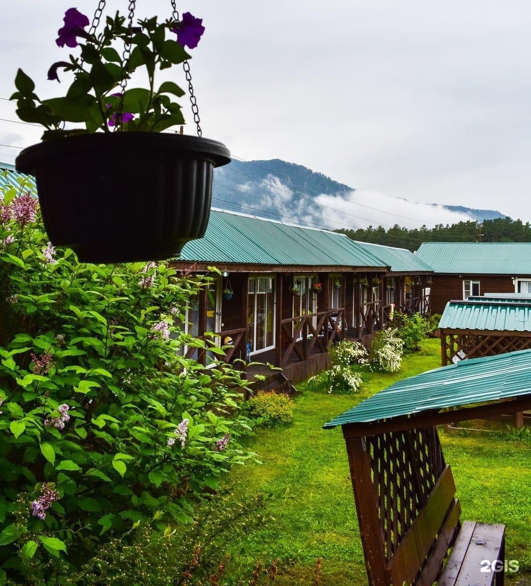 Солнечная поляна - фото 15