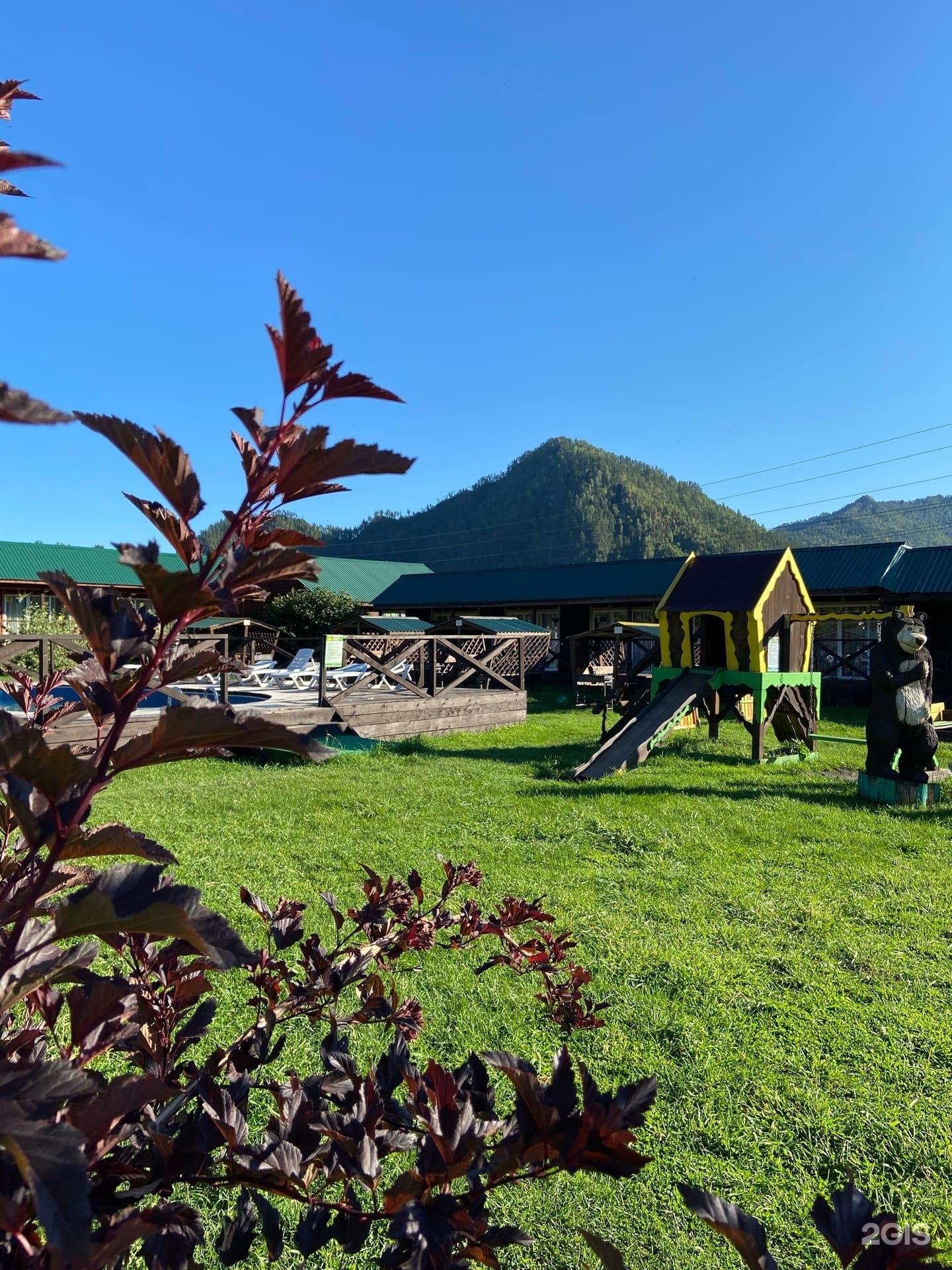 Солнечная поляна - фото 19