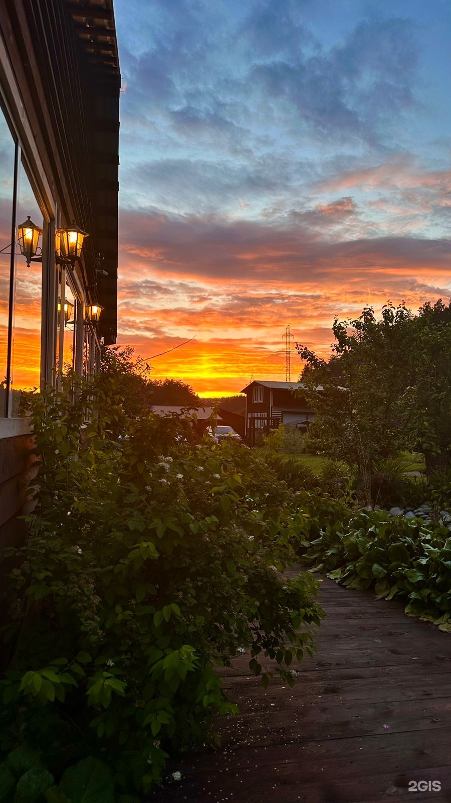 Солнечная поляна - фото 20