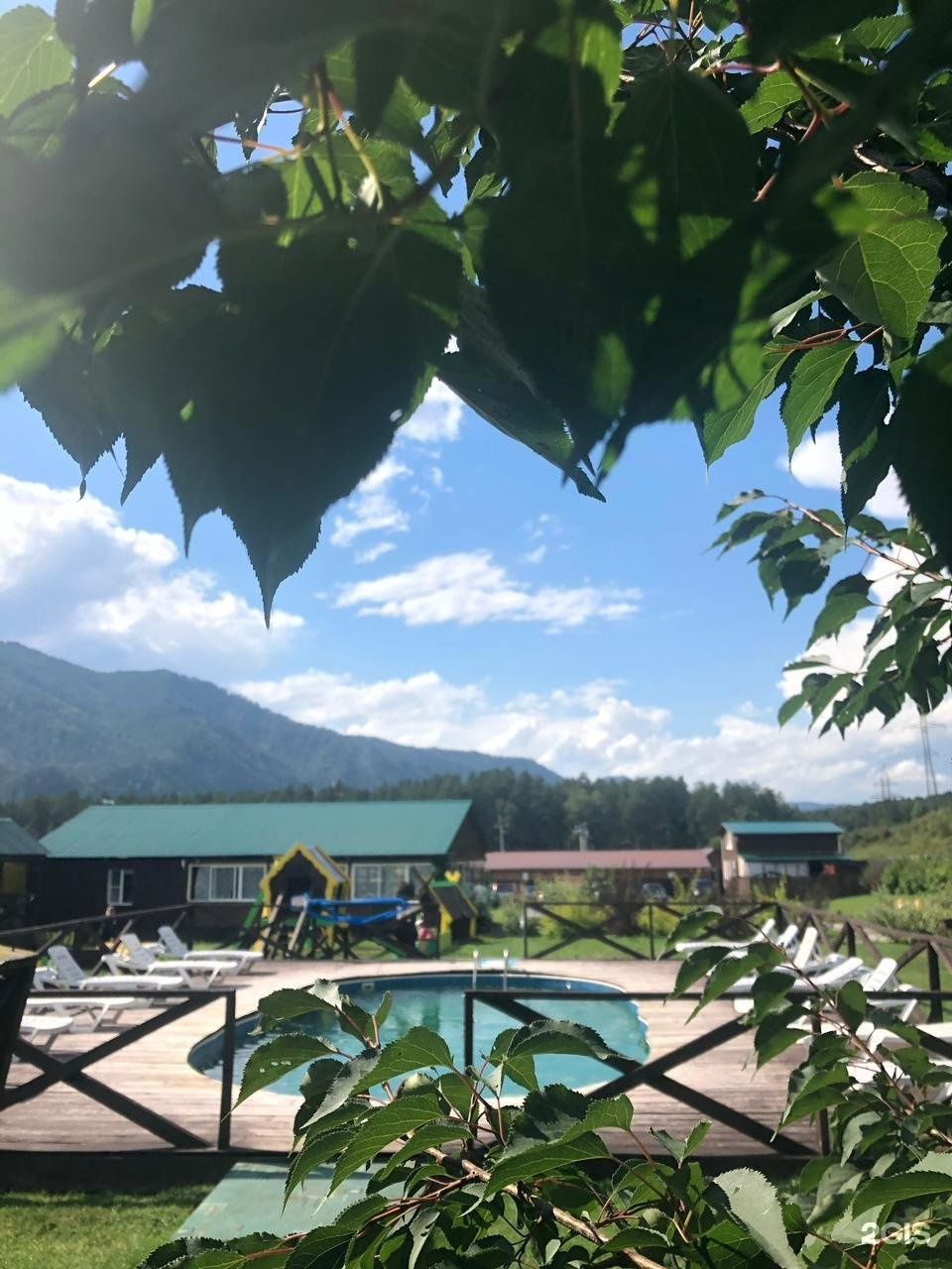 Солнечная поляна - фото 21