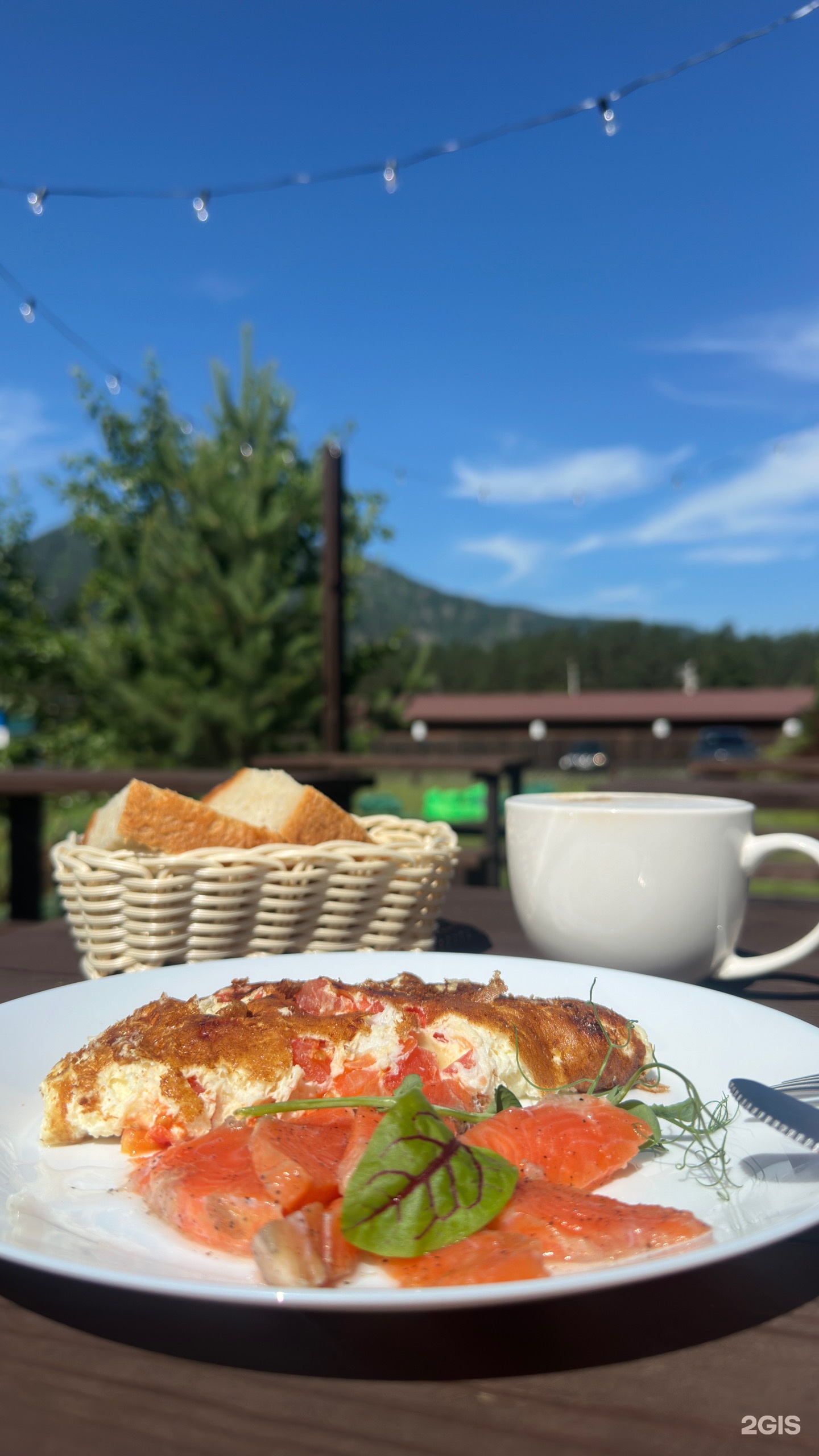 Солнечная поляна - фото 24