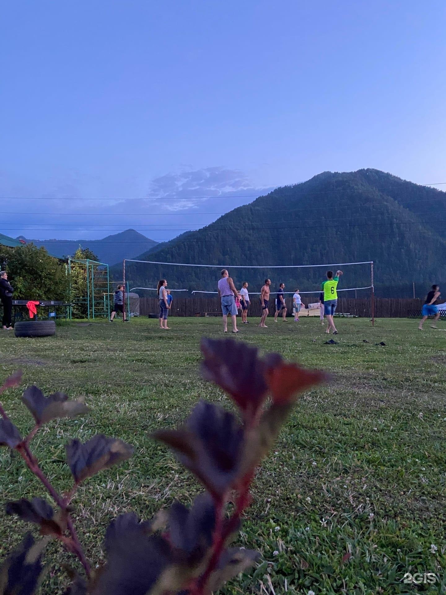 Солнечная поляна - фото 29