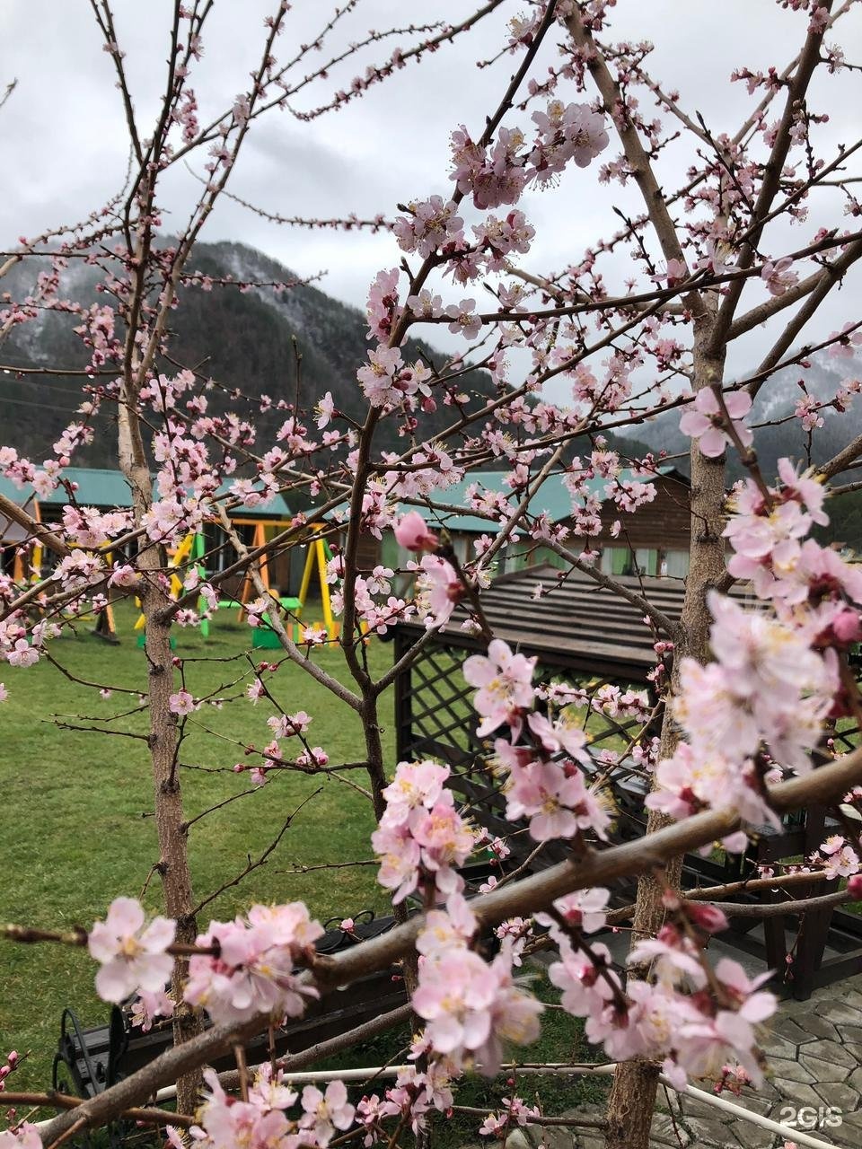 Солнечная поляна - фото 30