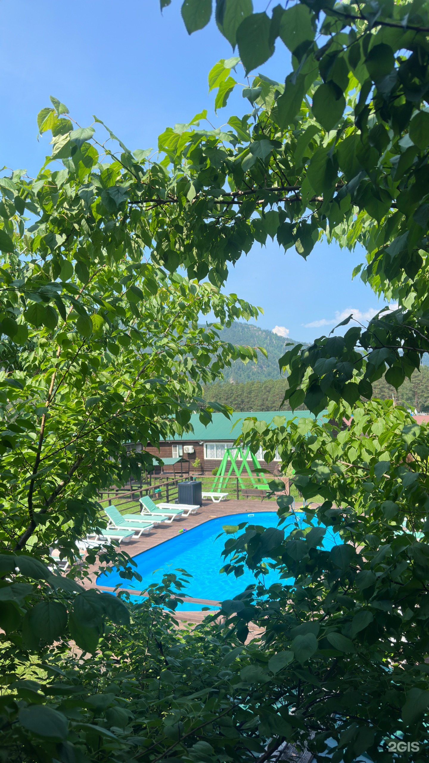 Солнечная поляна - фото 31