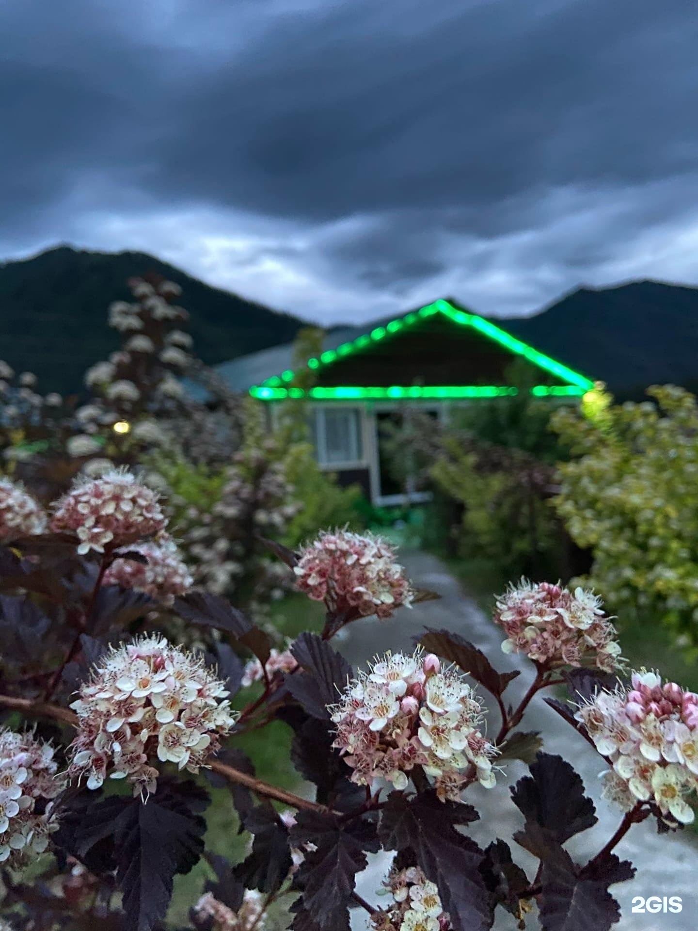 Солнечная поляна - фото 32