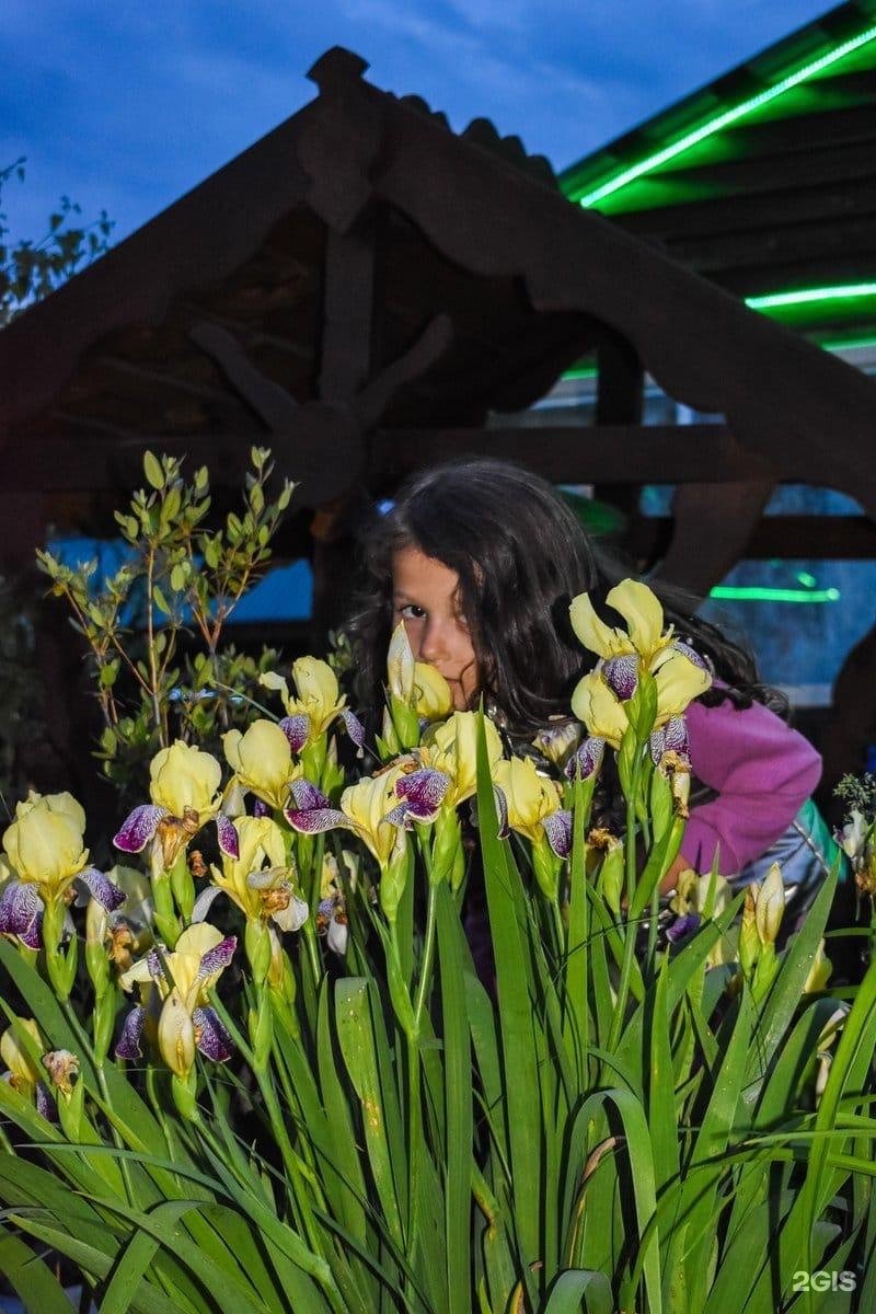 Солнечная поляна - фото 38