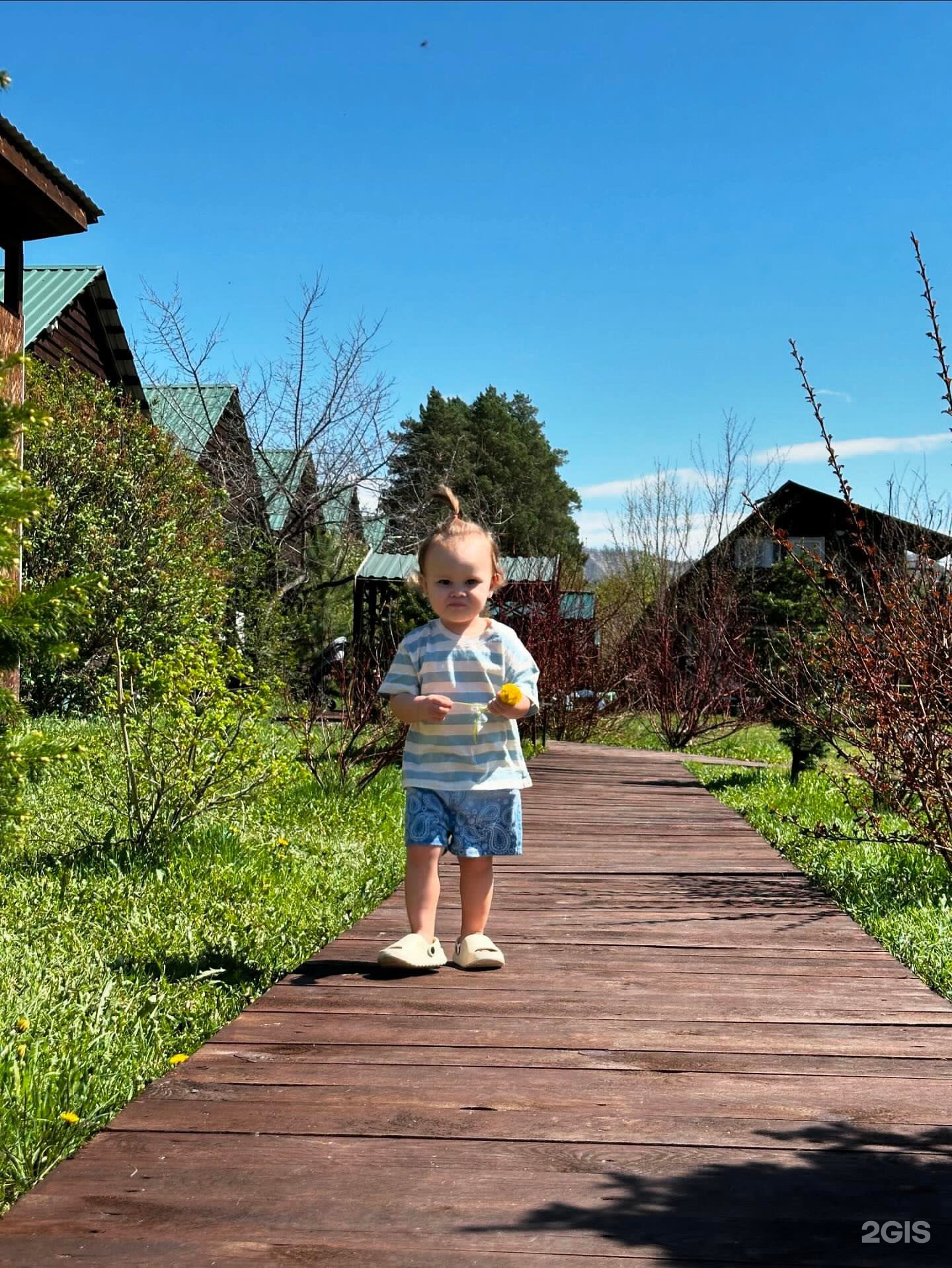 Солнечная поляна - фото 45