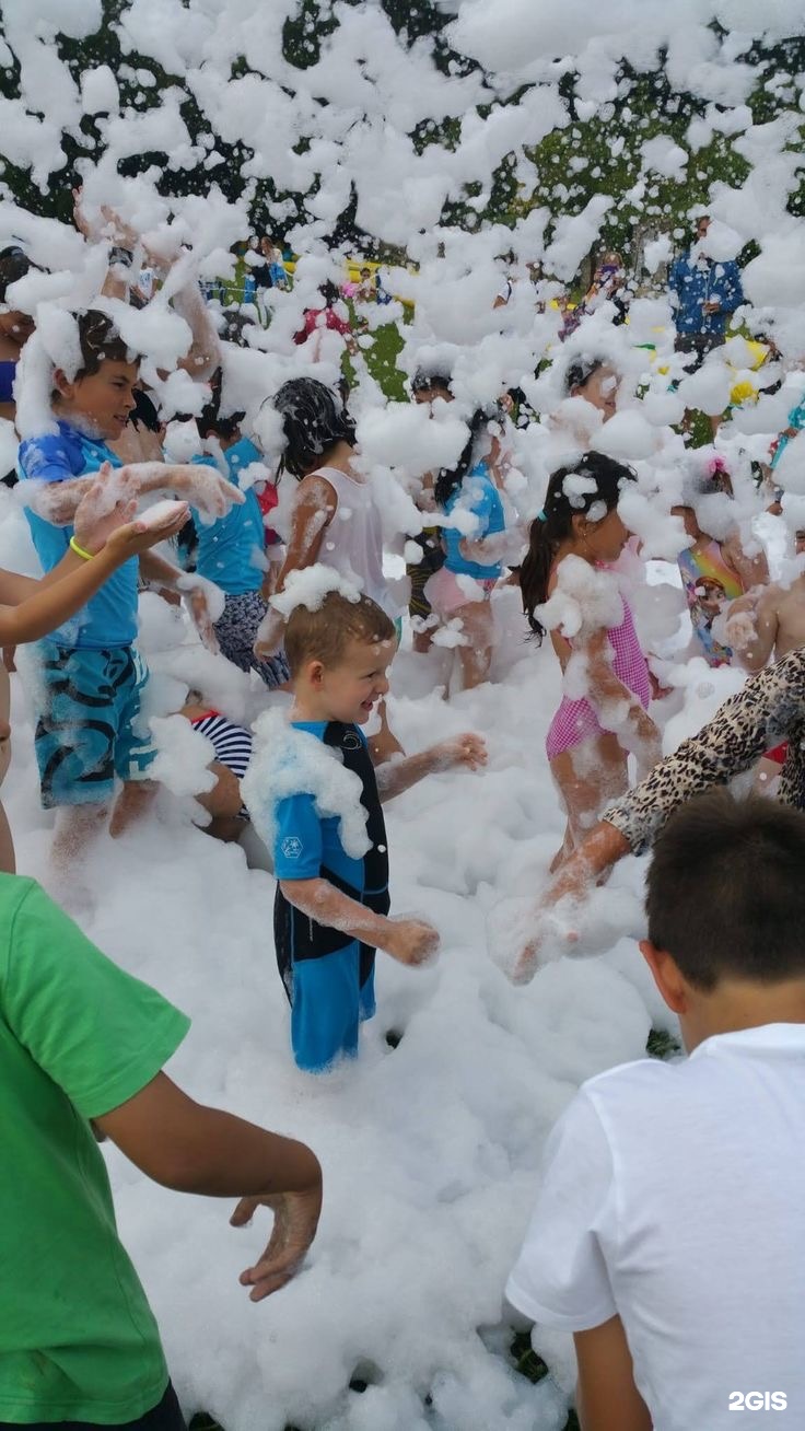 Солнечная поляна - фото 52