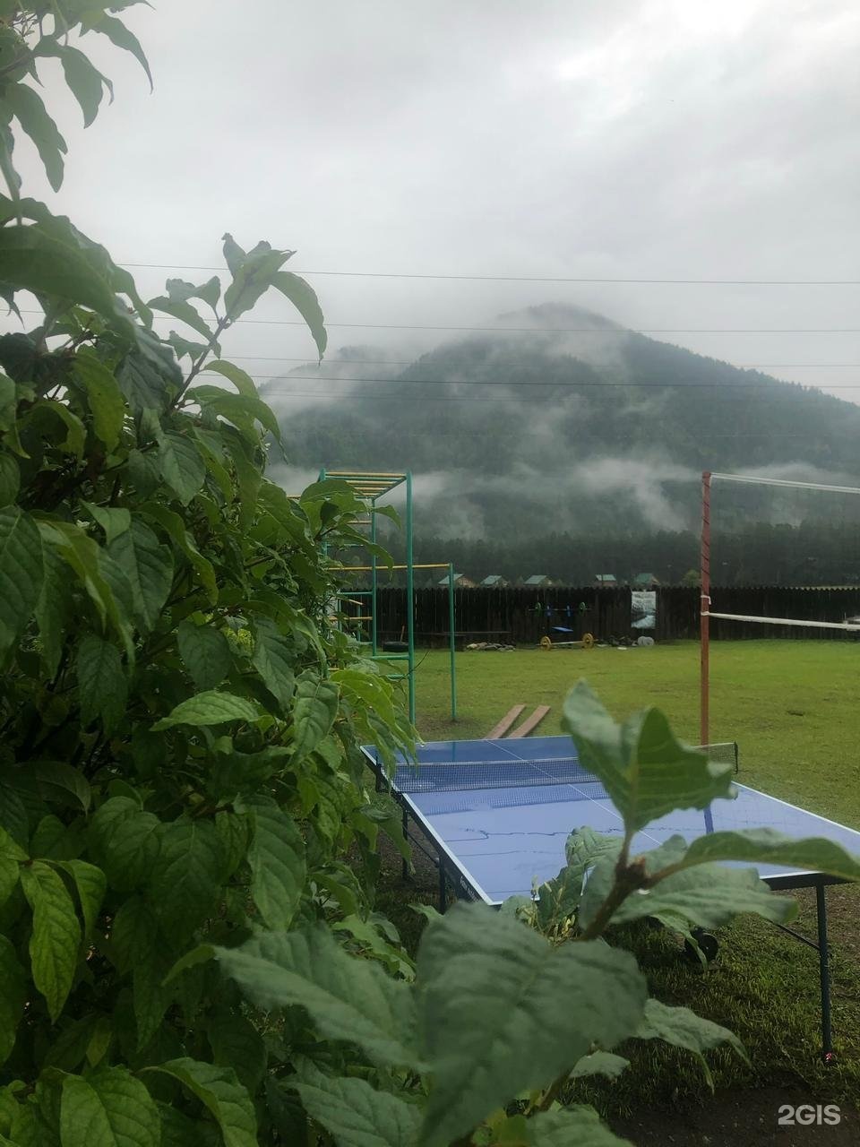 Солнечная поляна - фото 53