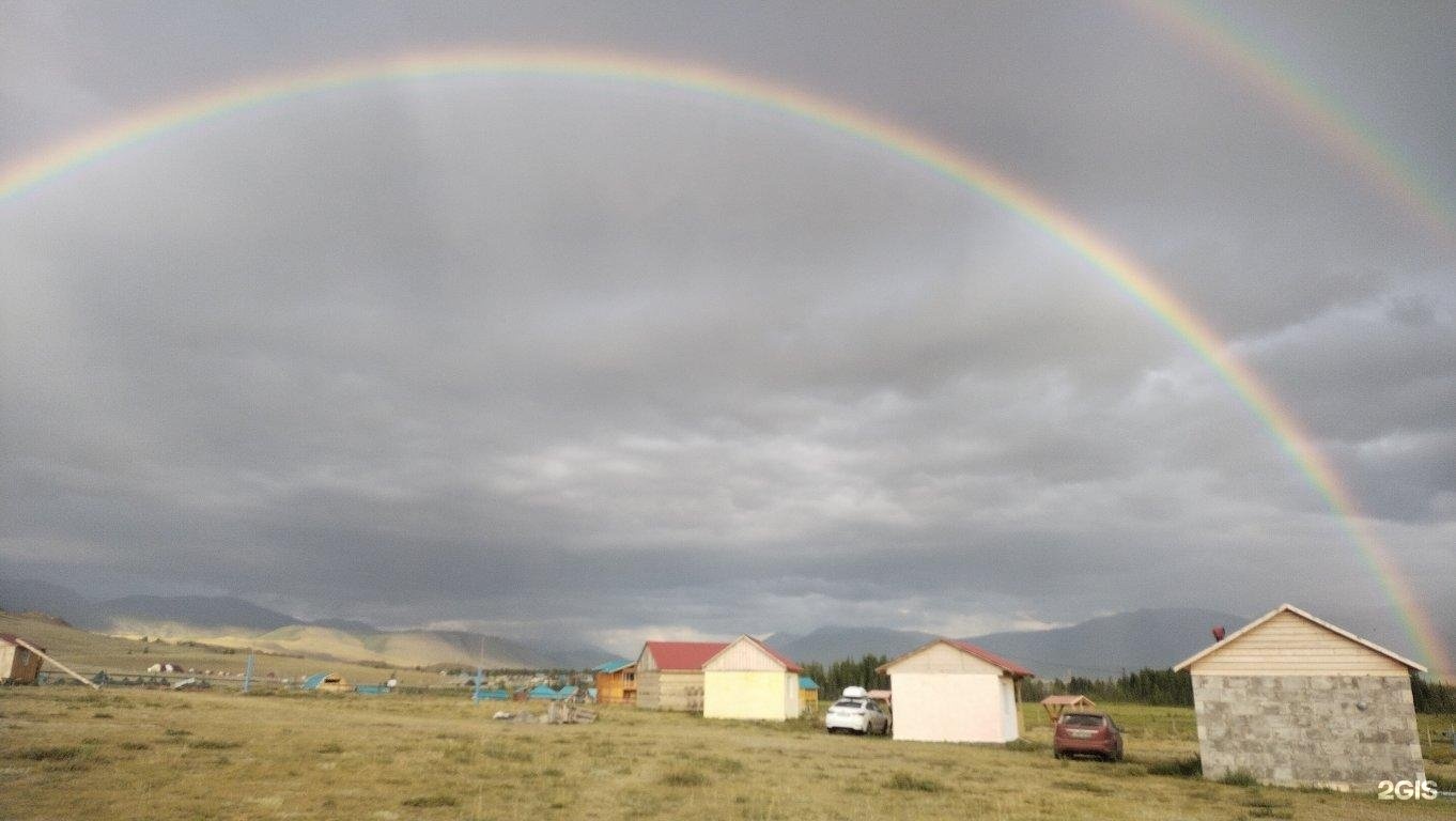 Архар - фото 1