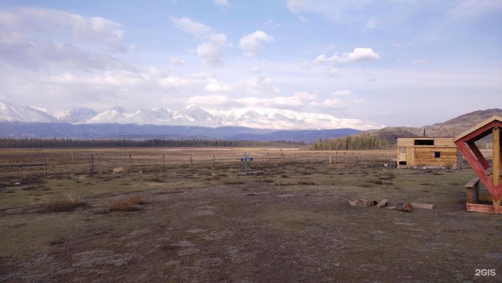 Архар - фото 3