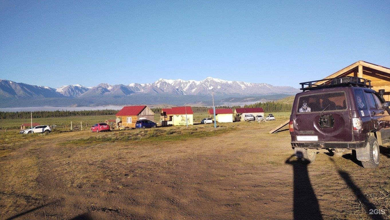 Архар - фото 4