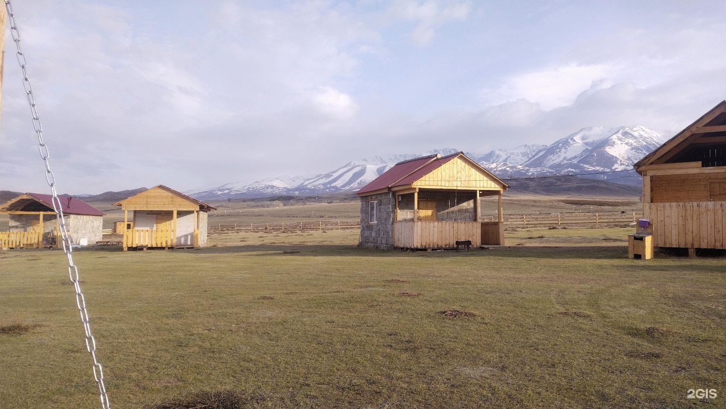 Архар - фото 5