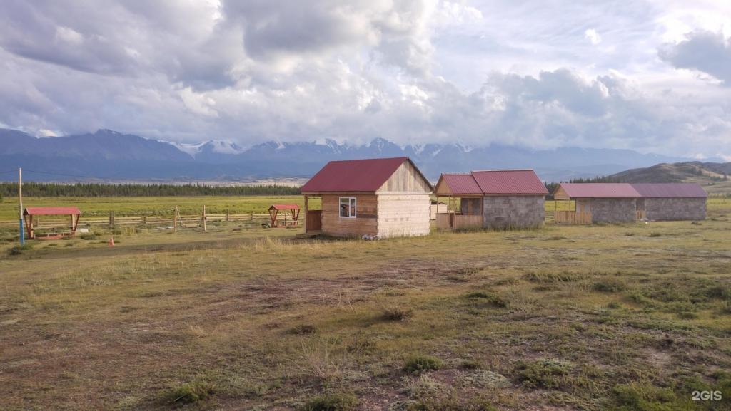 Архар - фото 6