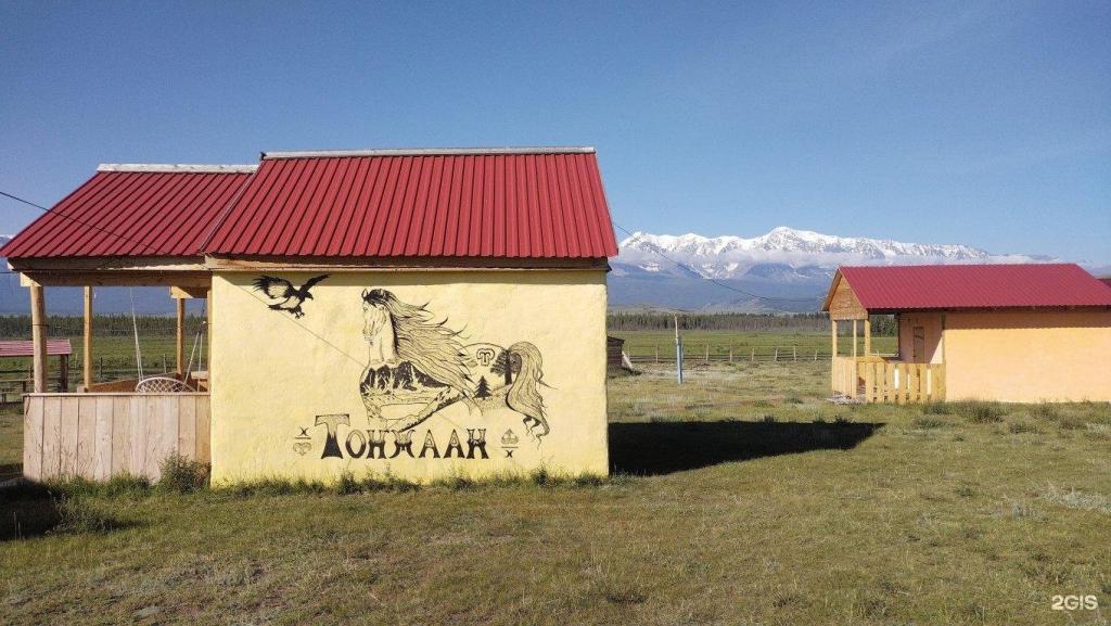 Архар - фото 7