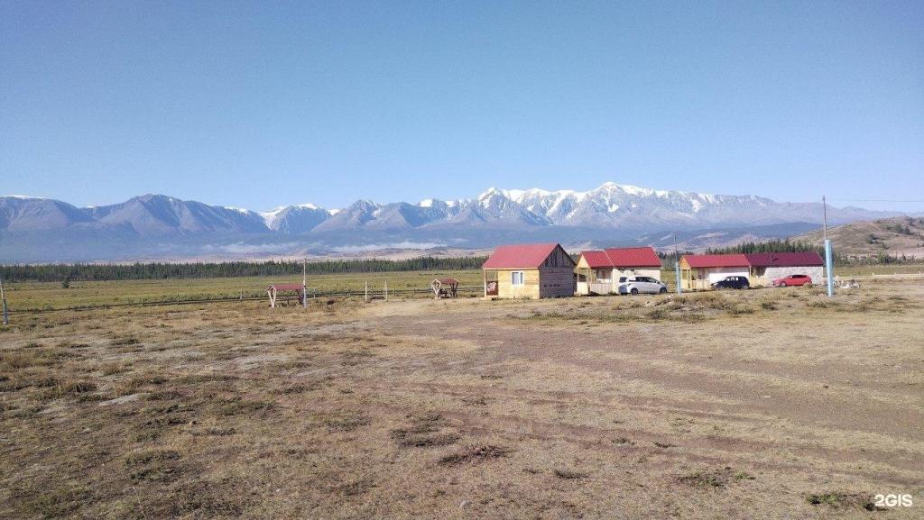 Архар - фото 8