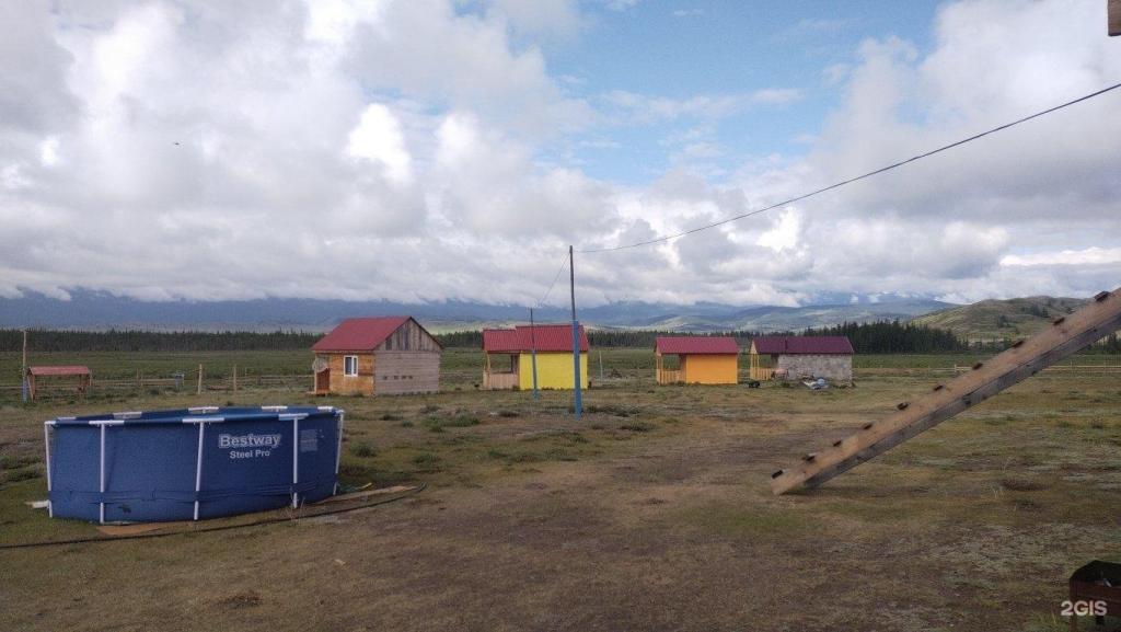 Архар - фото 9