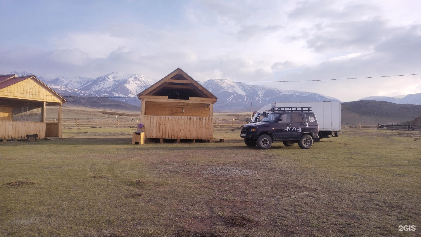 Архар - фото 10