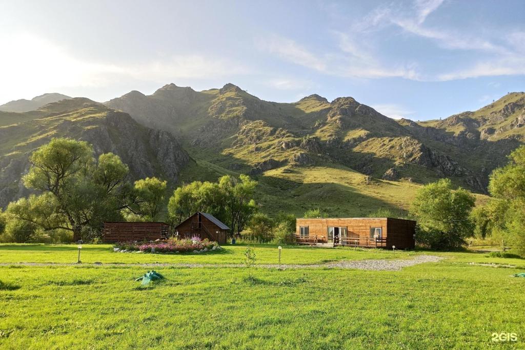 Остров в Эдигане - фото 2