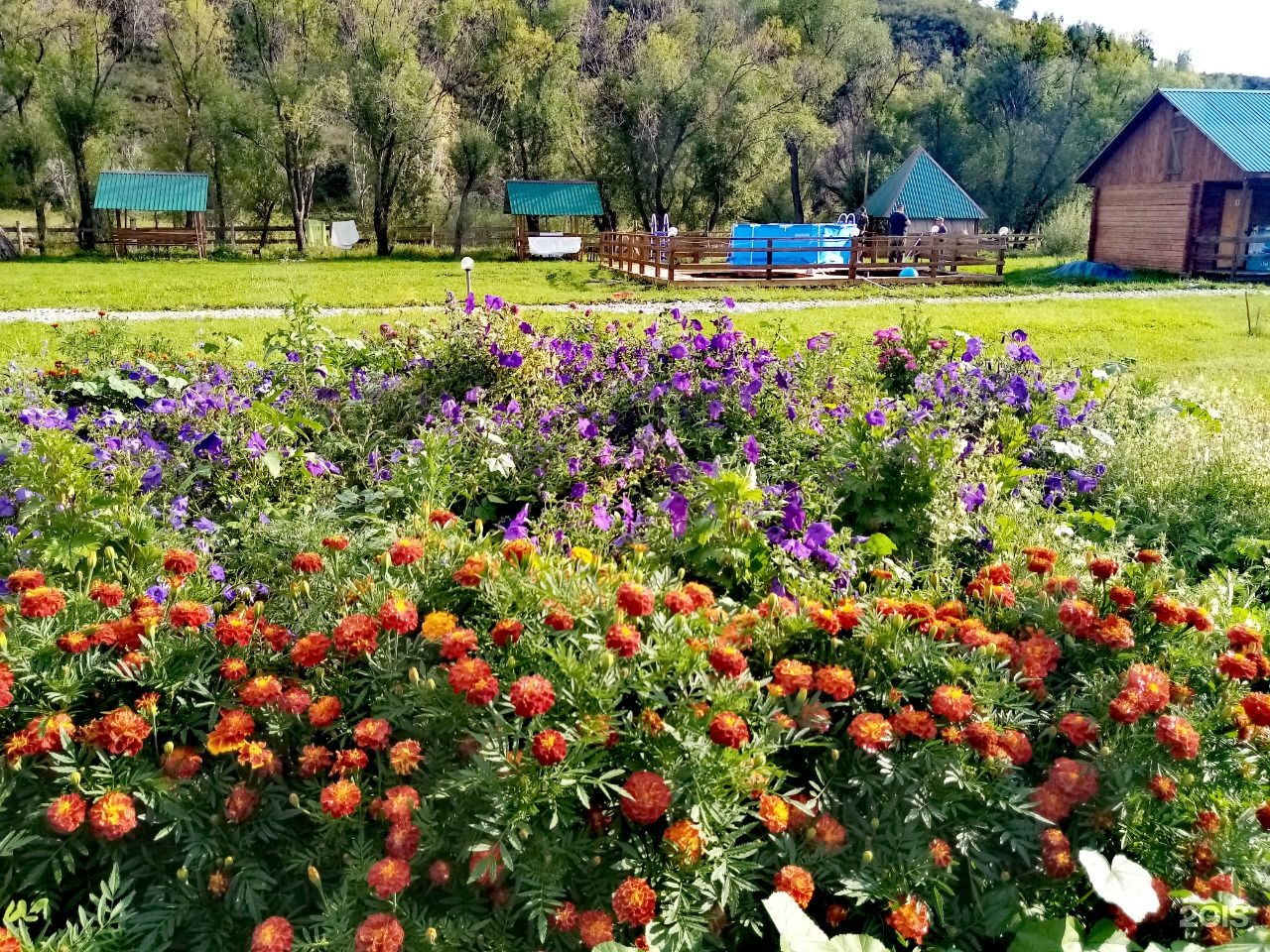 Остров в Эдигане - фото 16