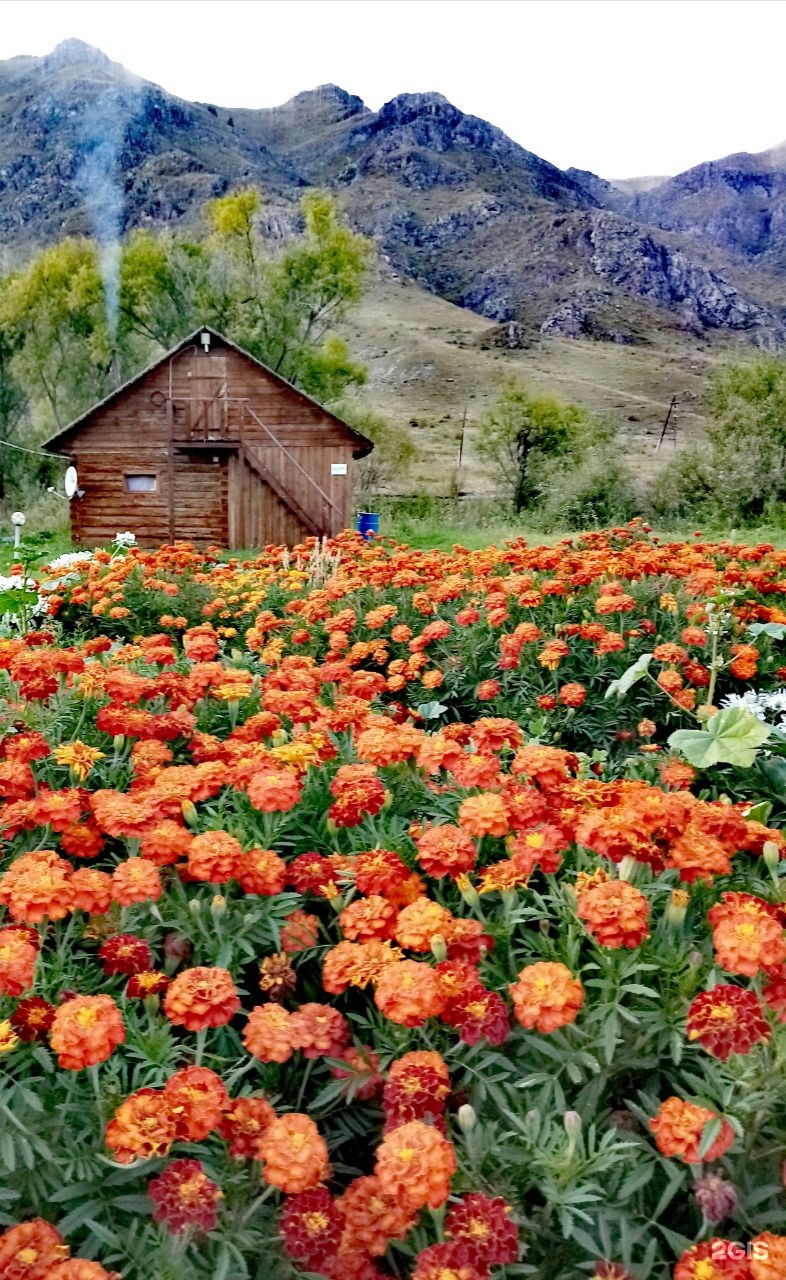 Остров в Эдигане - фото 22