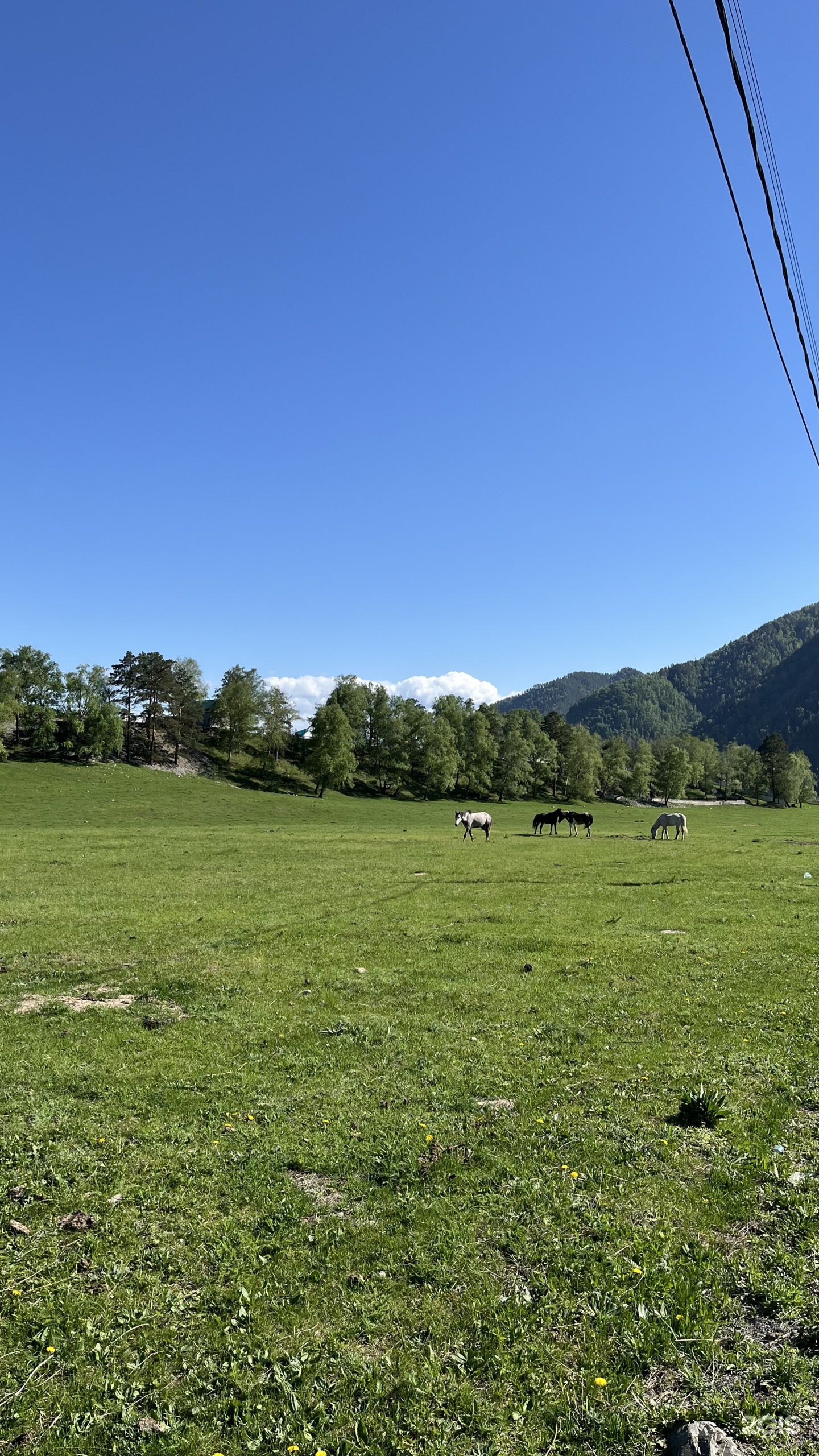Алтай Чемальский каньон - фото 49