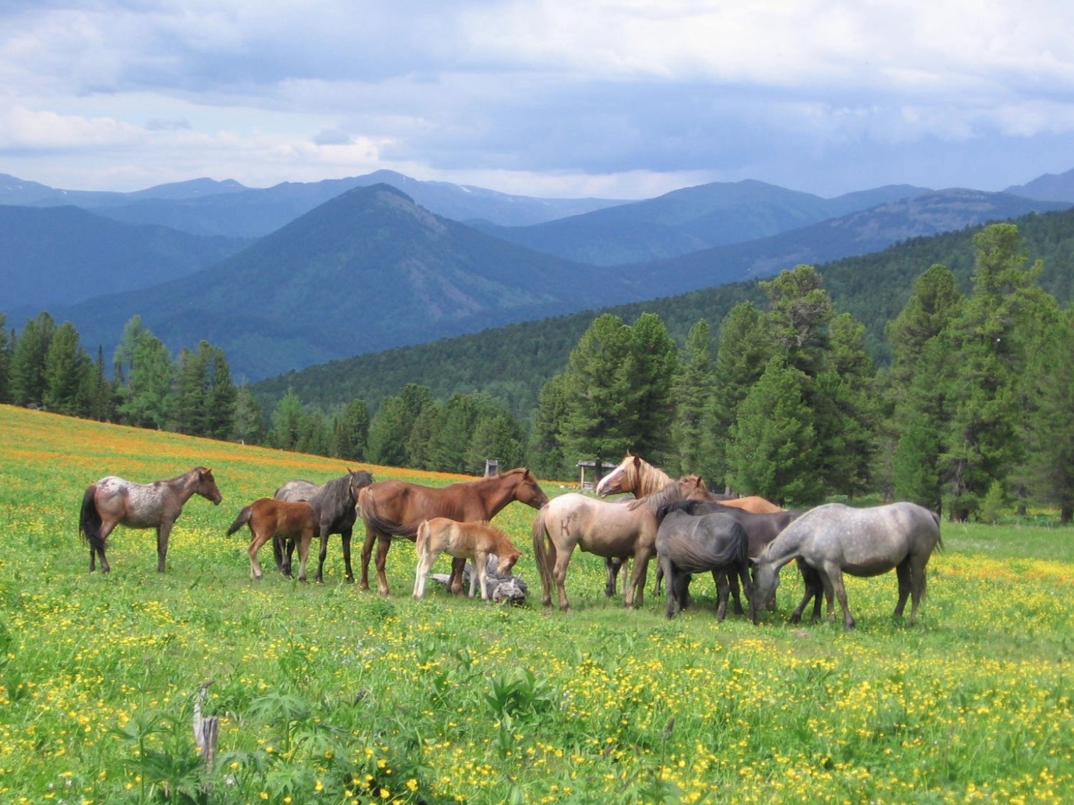ООО "АМАДУ" - фото 6