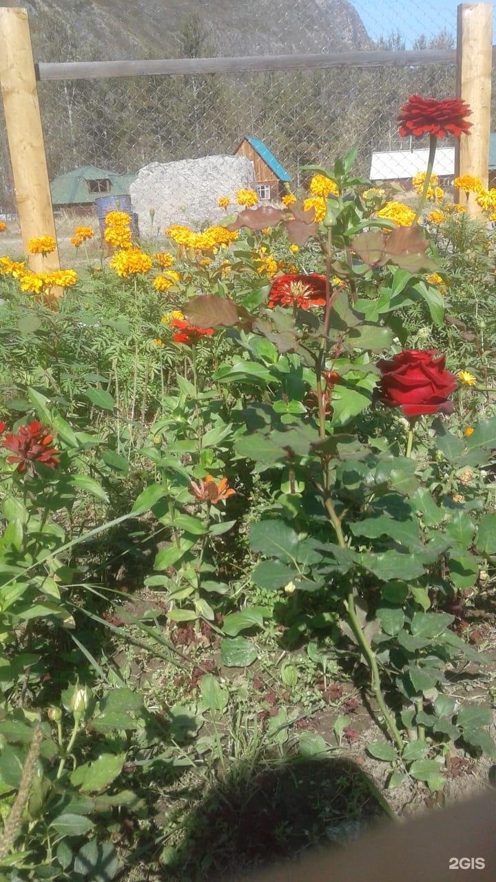 Эзен - фото 16